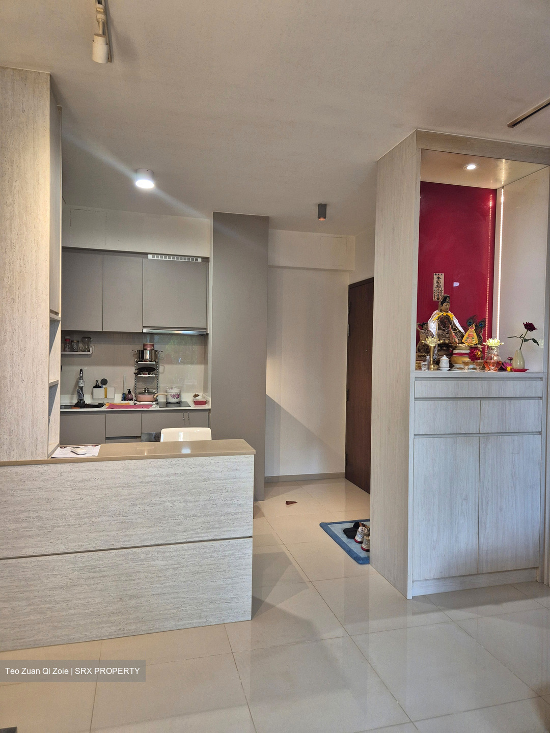 The Visionaire (D27), Condominium #479043031